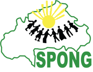 Secrétariat Permanent des ONG du Burkina